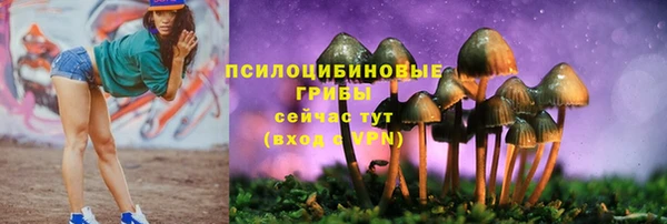 гидра Алексин