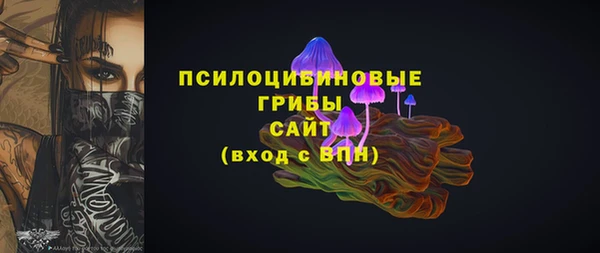 гидра Алексин