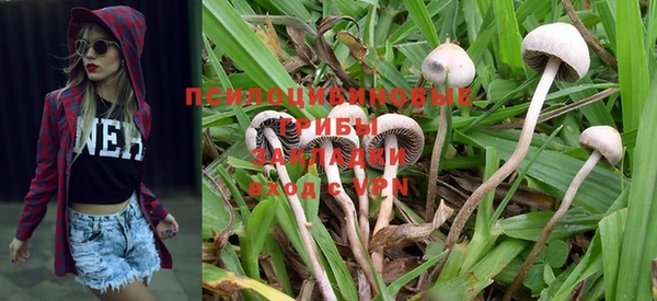 PSILOCYBIN Алексеевка