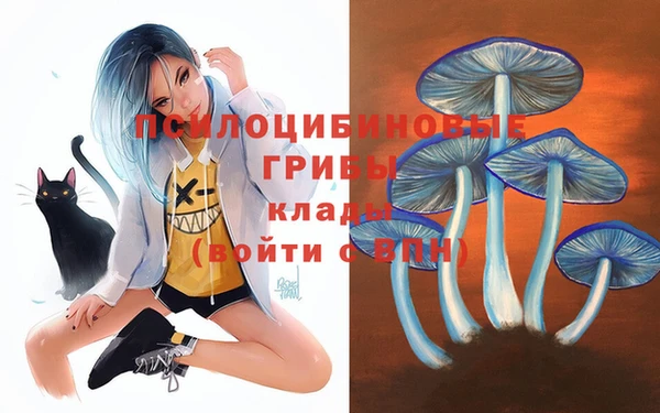 PSILOCYBIN Алексеевка