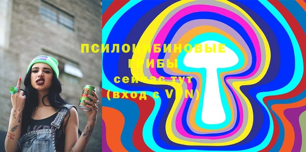 2c-b Абдулино