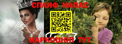 apvp Краснодар