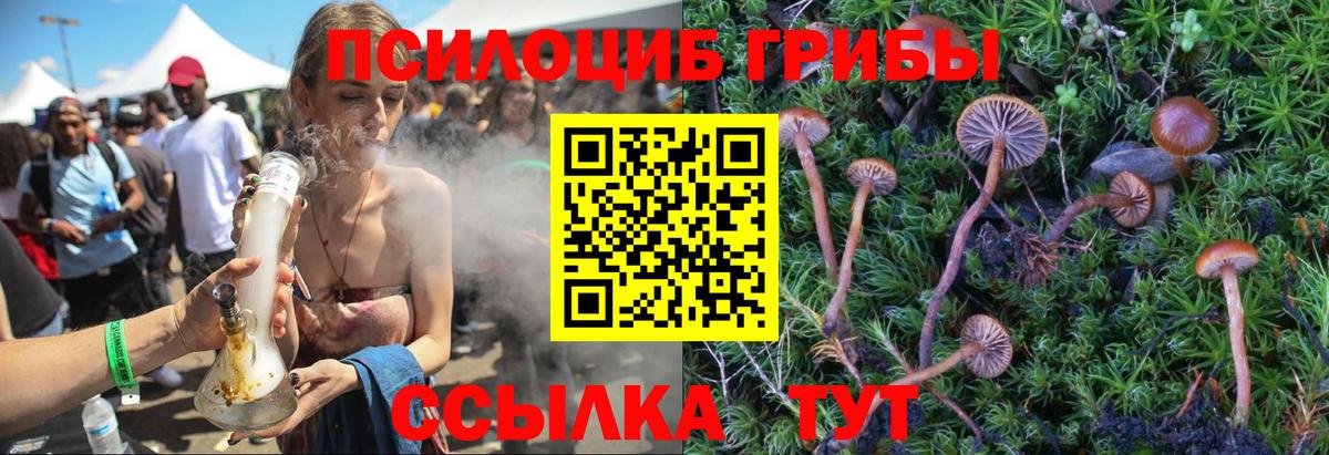 Псилоцибиновые грибы GOLDEN TEACHER  Вход с VPN  Ивантеевка 